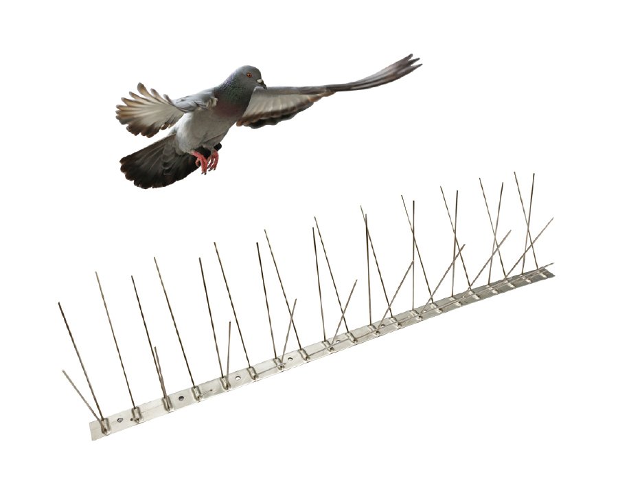 Pics anti-pigeons et anti-moineaux Sain Vital